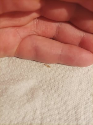 WhatsApp Image 2023-11-19 at 15.22.51.jpeg