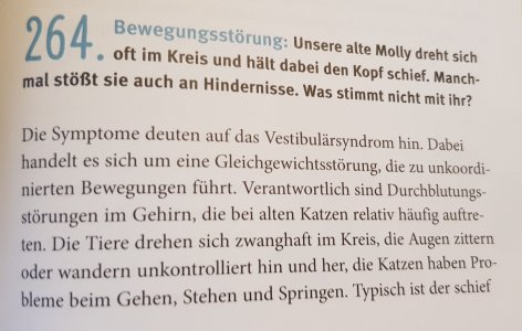Bewegungsstörung_1.jpg Bewegungsstörung_1.jpg