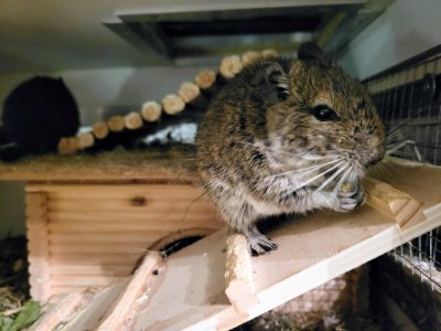 20231125_221308 _kleiner.jpg 20231125_221308 _kleiner.jpg