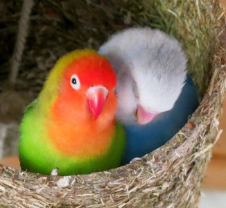 IMG_1424_ji_ji (1).jpg IMG_1424_ji_ji (1).jpg