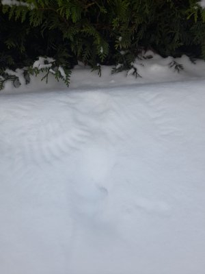 20240118_132218.jpg 20240118_132218.jpg