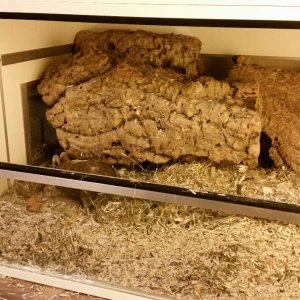 2018-01-02 00.06.18_1515094337781.jpg