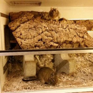 2018-01-02 00.07.37_1515094337706.jpg