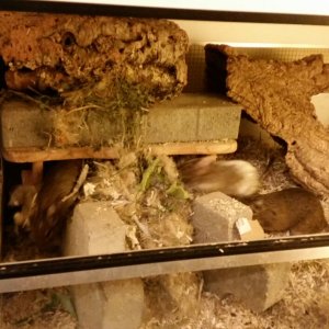 2018-01-02 00.08.21_1515094337635.jpg