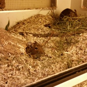 2018-01-02 00.10.01_1515094337494.jpg