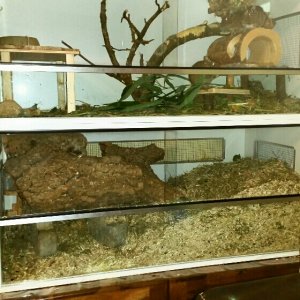 2018-01-04 20.10.19_1515094337217.jpg