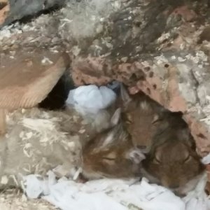 2018-01-04 20.14.02_1515094336804.jpg