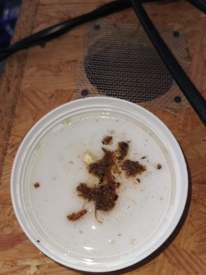 WhatsApp Bild 2024-03-05 um 10.44.09_1a54f271.jpg