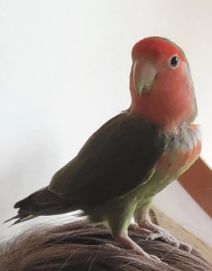 Weixin Image_20240407165305.jpg