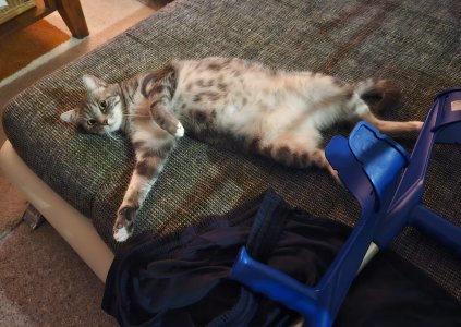 WhatsApp Bild 2024-04-09 um 10.16.30_bb79fd3a.jpg