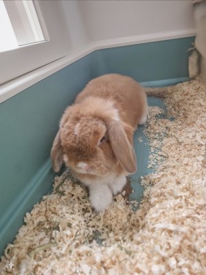 20240412_124553.jpg 20240412_124553.jpg