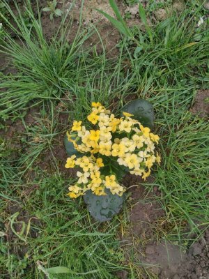 IMG-20240412-WA0028.jpg IMG-20240412-WA0028.jpg