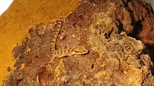 1000277474.jpg 1000277474.jpg