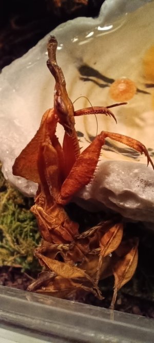 IMG_20240610_195652.jpg IMG_20240610_195652.jpg