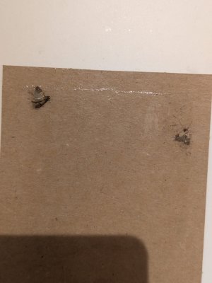 WhatsApp Image 2024-06-26 at 19.02.24.jpeg