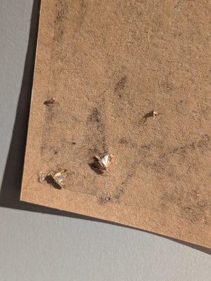 WhatsApp Image 2024-06-26 at 19.02.24 (1).jpeg