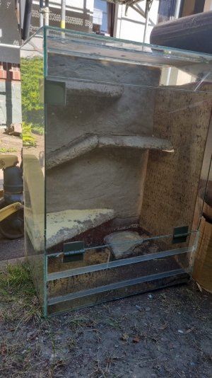 1000392513.jpg 1000392513.jpg