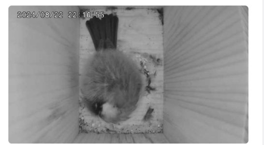 IMG_6333.jpeg IMG_6333.jpeg