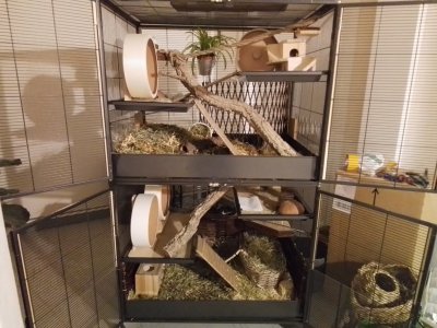 20240424_224616.jpg 20240424_224616.jpg