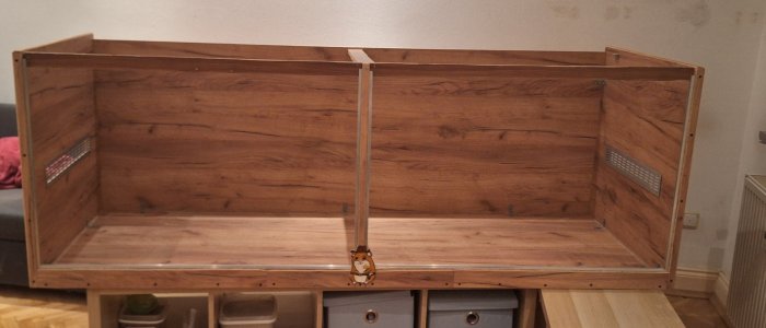 20241005_200431.jpg 20241005_200431.jpg