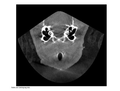 Screenshot_20241120-224854_GMX Mail.jpg