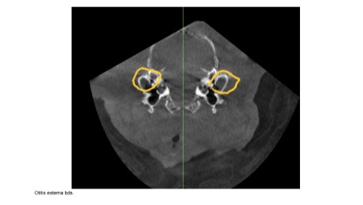 Screenshot_20241120-224815_GMX Mail.jpg