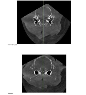 Screenshot_20241120-233130_GMX Mail.jpg