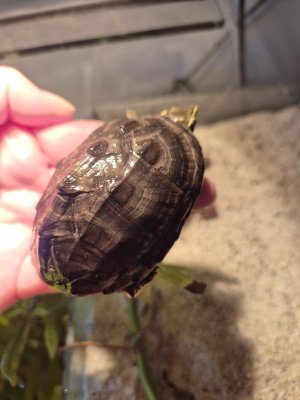 1000004681.jpg 1000004681.jpg