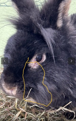 Screenshot_20241205-142508_Samsung Internet.jpg