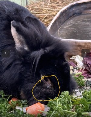 Screenshot_20241205-142443_Samsung Internet.jpg