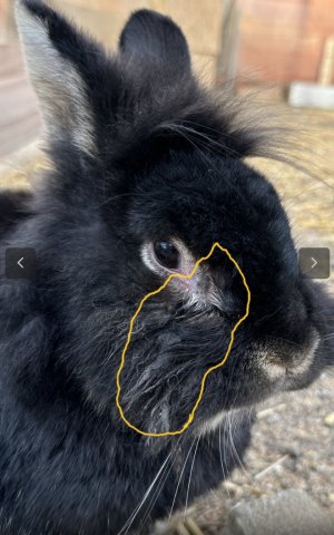 Screenshot_20241205-142403_Samsung Internet.jpg