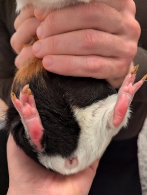 PXL_20241105_184948816.jpg PXL_20241105_184948816.jpg