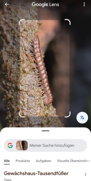 1000009494.jpg 1000009494.jpg