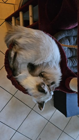 WhatsApp Image 2025-02-19 at 17.22.28.jpeg