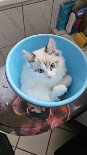 WhatsApp Image 2025-01-30 at 12.32.20.jpeg