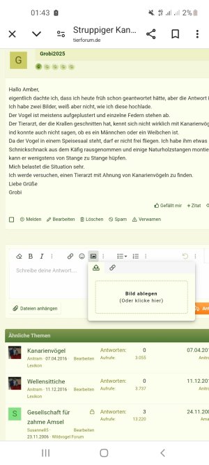Screenshot_20250322-014324_Chrome.jpg Screenshot_20250322-014324_Chrome.jpg
