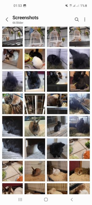 Screenshot_20250322-015357_Gallery.jpg Screenshot_20250322-015357_Gallery.jpg