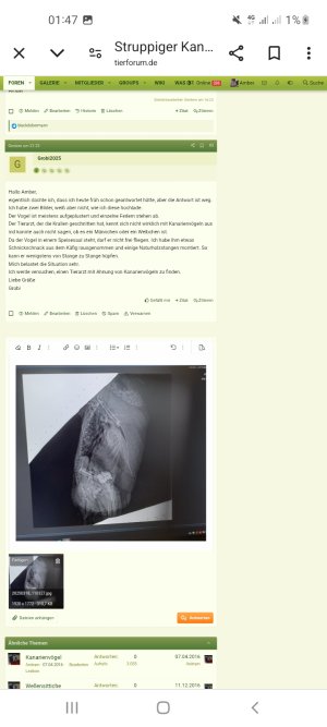 Screenshot_20250322-014756_Chrome.jpg Screenshot_20250322-014756_Chrome.jpg