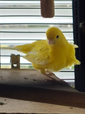 20250320_135640.jpg 20250320_135640.jpg