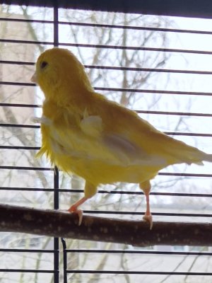 20250322_101032(0).jpg 20250322_101032(0).jpg