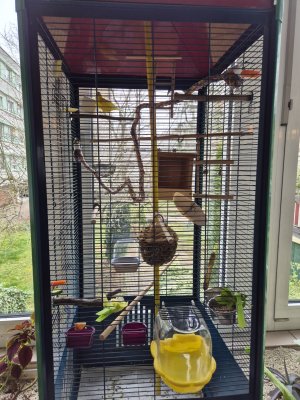 20250322_101019.jpg 20250322_101019.jpg