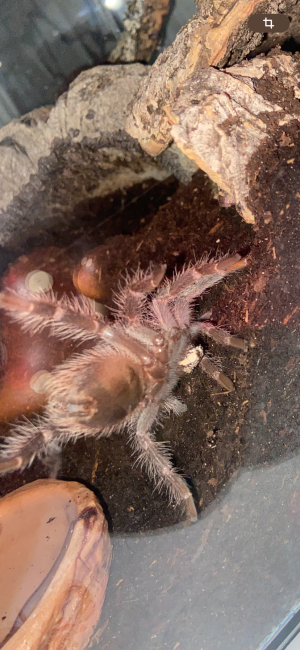 IMG_4920.png IMG_4920.png