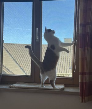 IMG_1132.jpeg IMG_1132.jpeg