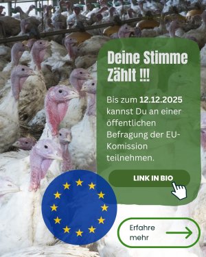 Die EU startete am 19.09.2025 eine Befragung zum Tierwohl von Nutztieren 🐄🐖🐓Dabei bittet sie .jpg