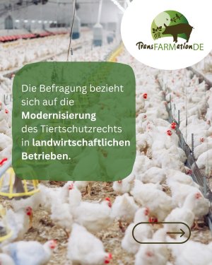 Die EU startete am 19.09.2025 eine Befragung zum Tierwohl von Nutztieren 🐄🐖🐓Dabei bittet sie  ...jpg
