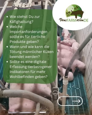 Die EU startete am 19.09.2025 eine Befragung zum Tierwohl von Nutztieren 🐄🐖🐓Dabei bittet sie  ...jpg