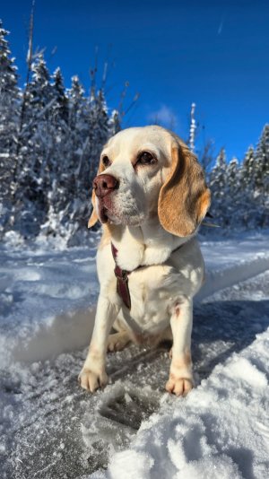 IMG-20251121-WA0009.jpg IMG-20251121-WA0009.jpg