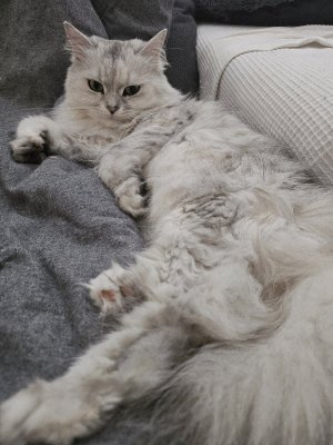 20250617_103827.jpg 20250617_103827.jpg