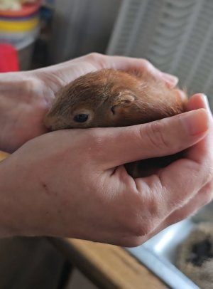 Screenshot_20250813_181124_Studio.jpg Screenshot_20250813_181124_Studio.jpg