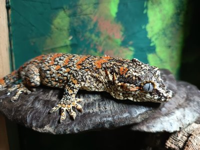 1000020925.jpg 1000020925.jpg